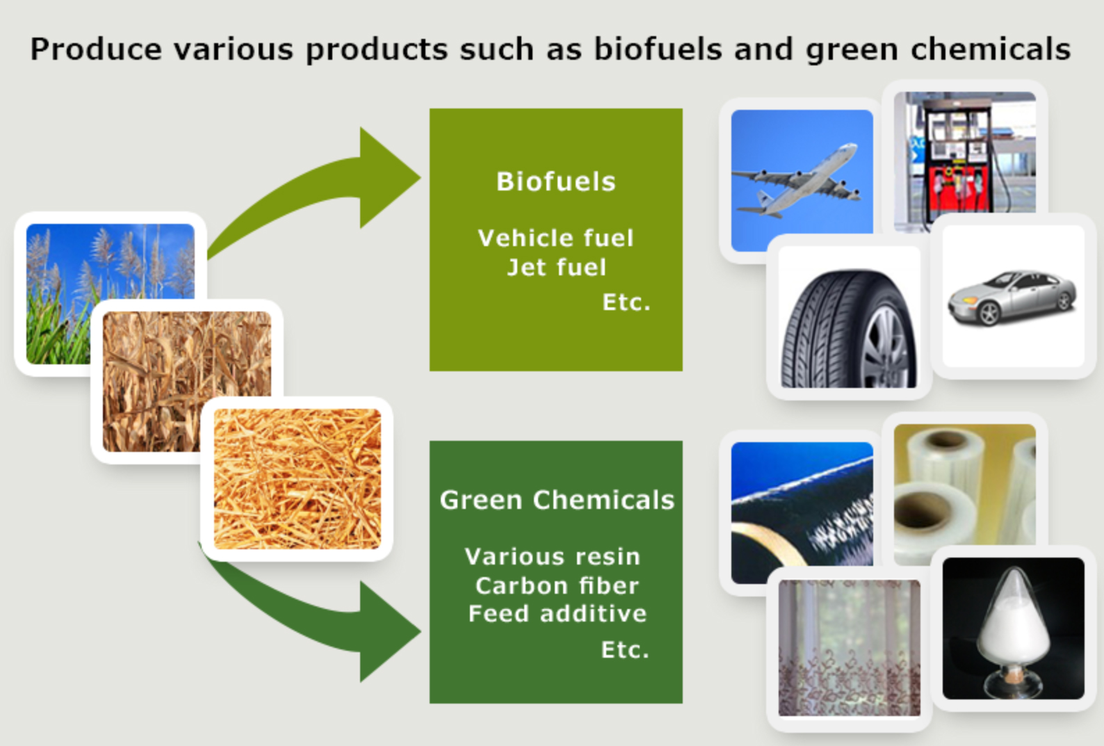 GEI’s biochemicals