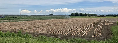 双日おにぎり弁当