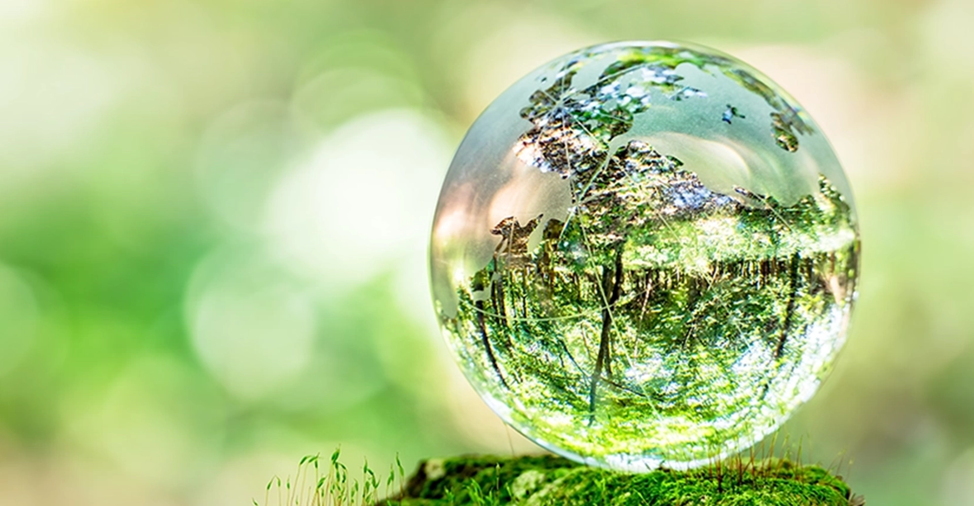 Sustainability