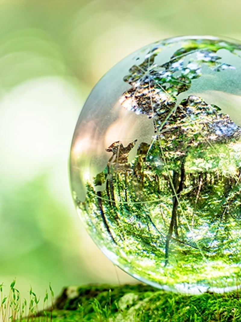 Sustainability